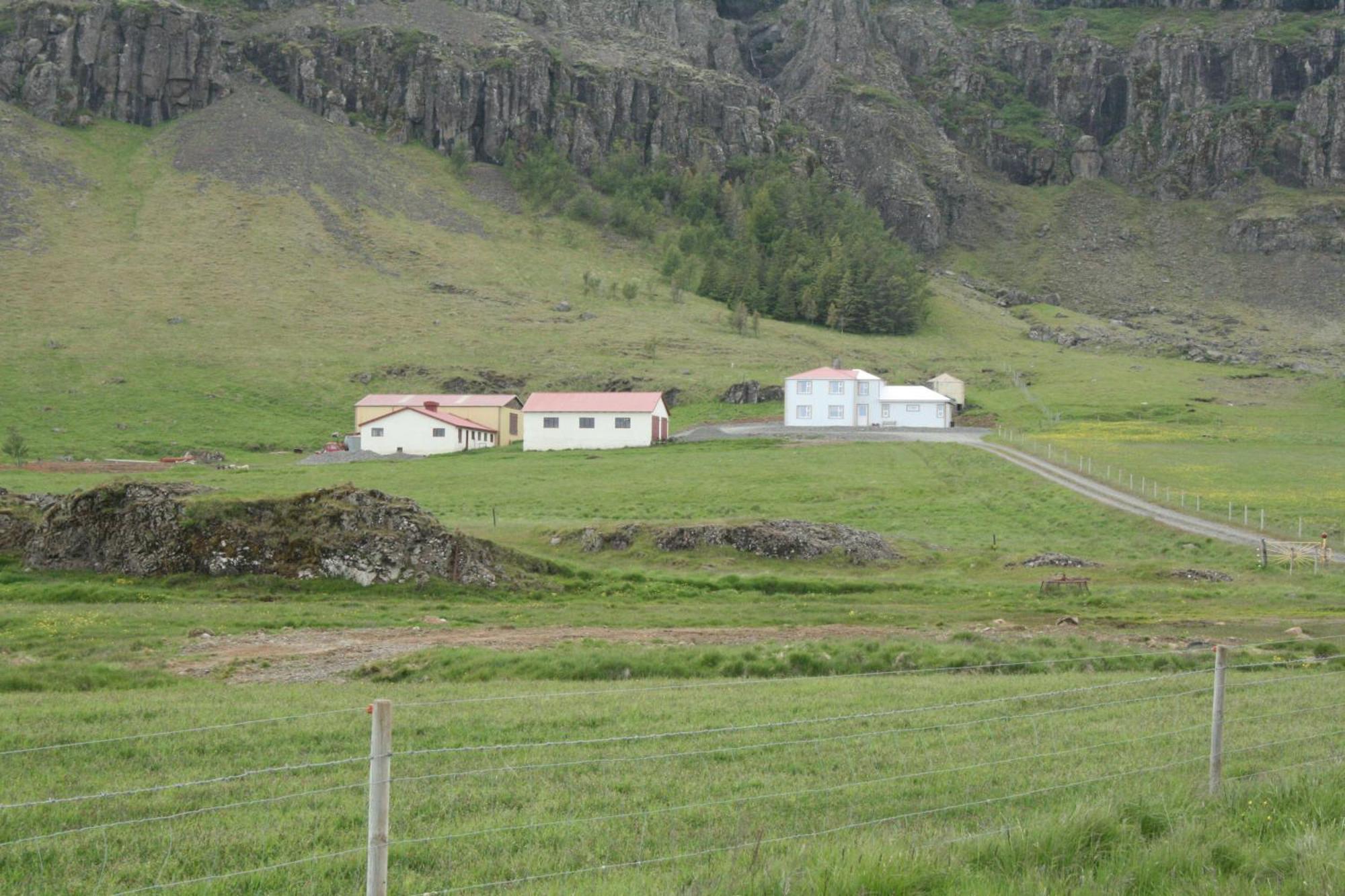 Skálafell Guesthouse Stekkatun מראה חיצוני תמונה